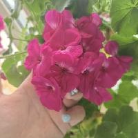 我的今日状态：😁轻松愉快
我这里的天气：☀️晴天