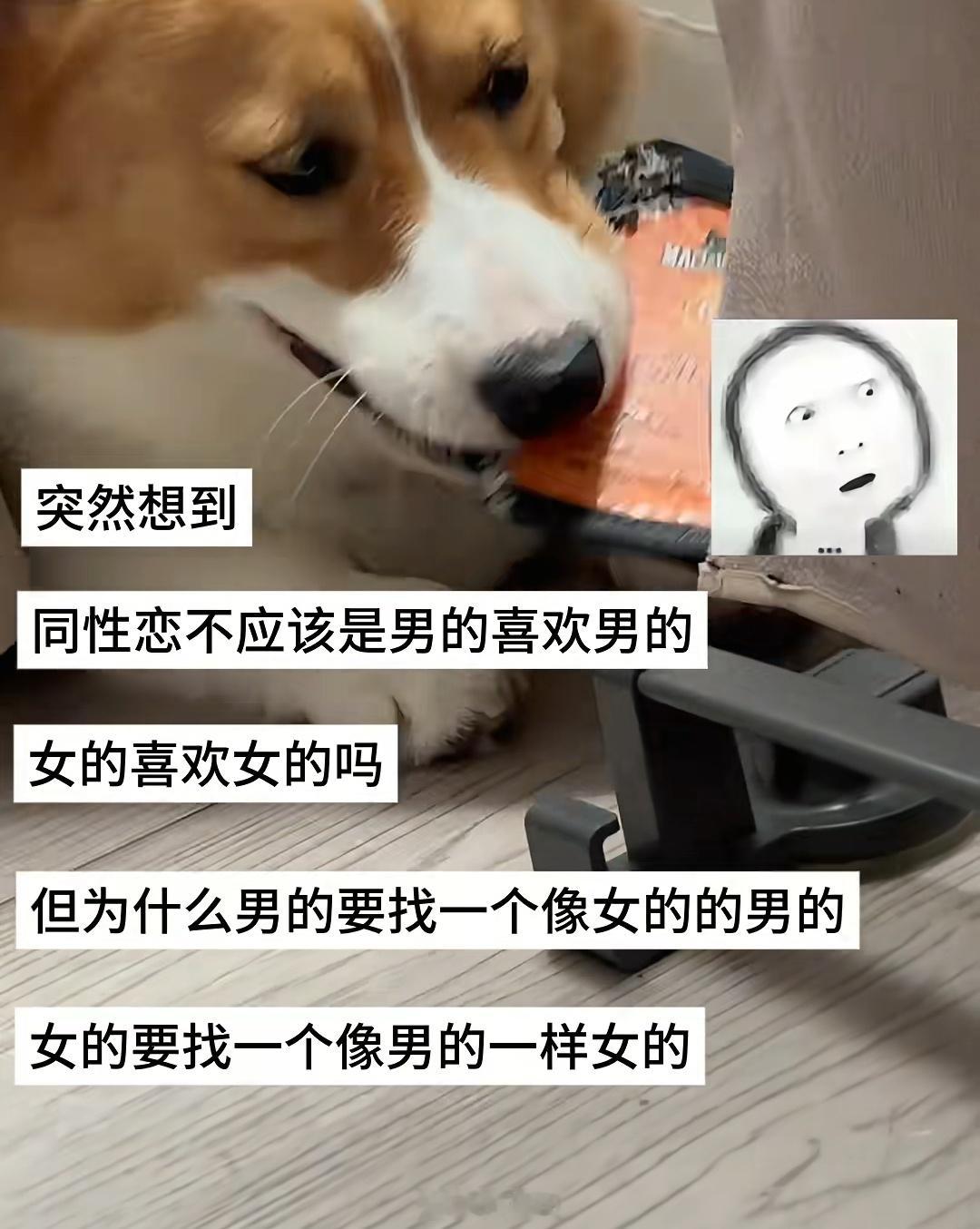 没毛病，我也有这样的疑问 