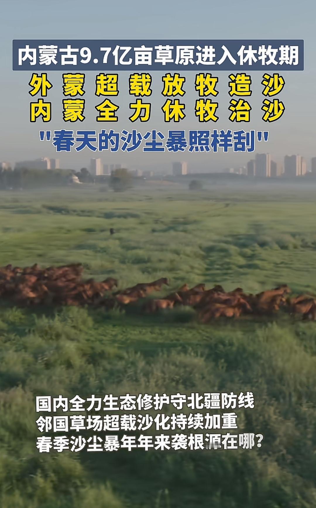 9.7亿亩！实名羡慕内蒙人拥有如此巨大的草场，天苍苍，野茫茫。风吹草低见牛羊。。