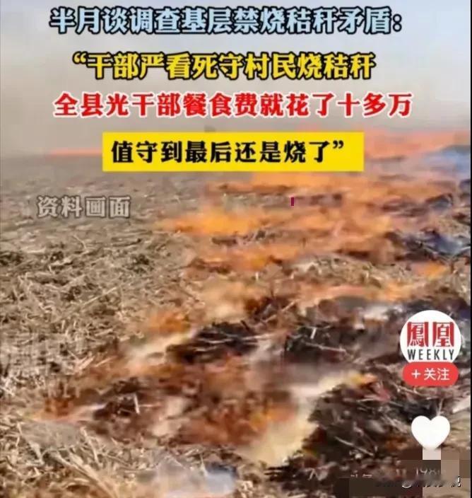 禁烧桔杆何时休？黑龙江半月谈披露，为了禁烧桔杆，当地白天晚上都派干部轮流盯着，最