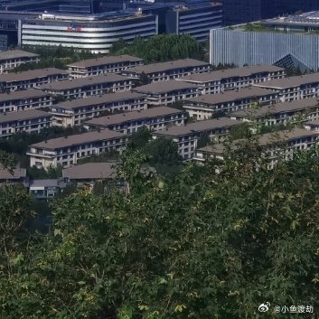 很多人对城市独居有巨大误区：觉得独居等于孤单可怜，是没人陪伴的无奈选择。可说实话