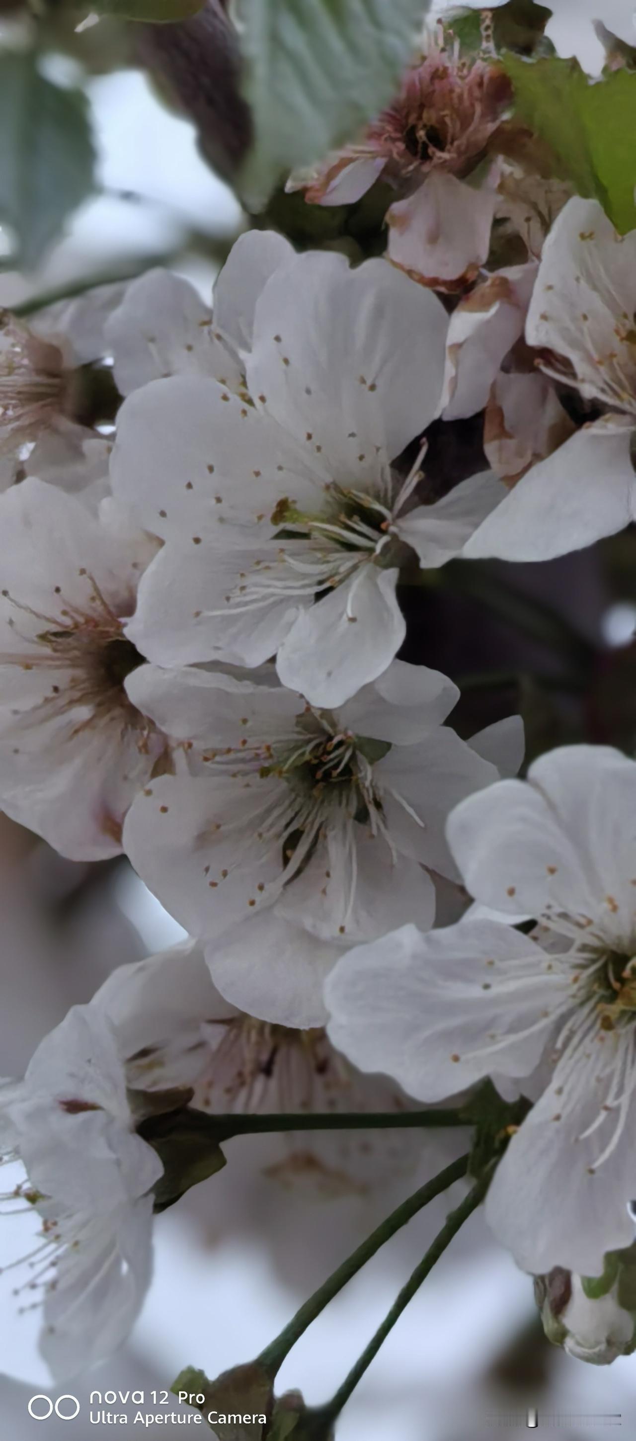 学历，能力，人品，哪个最重要这几种都很重要，有了学历，没有能力也不行，有了能力没