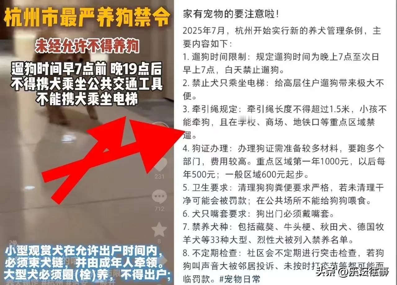 杭州，敢为天下先的城市！早在十几年前，杭州首倡车让人，令我杭州之行非常震撼。现举