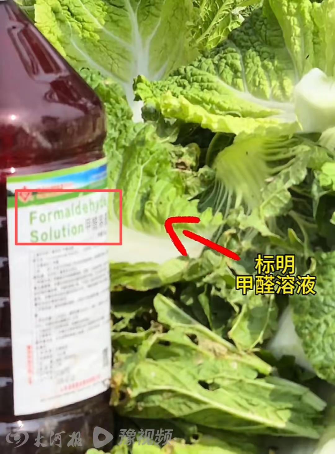 甲醛泡白菜的危害性很大，正因为如此，国家才立法禁止在食品类使用甲醛助鲜。但仍有不