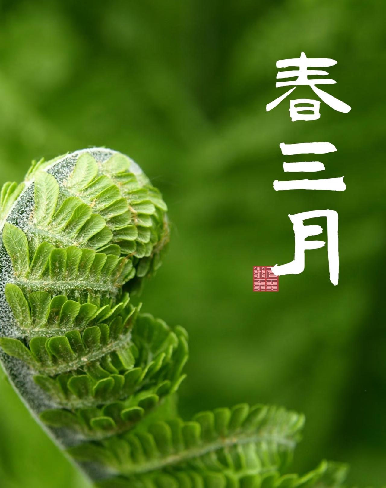 最近总有人问，马年春天最想实现的心愿是啥？思来想去，其实没啥宏大的口号，就是想把