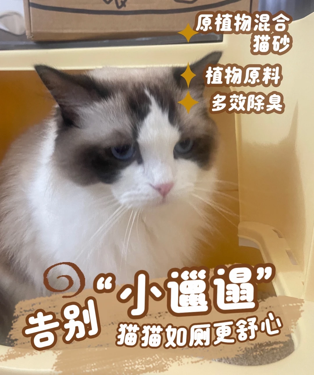 终于！被我找到了一款超好用的猫砂！！