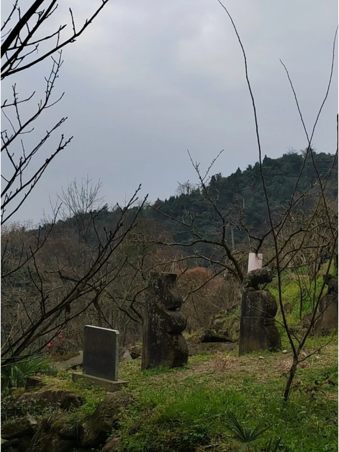 古寺里的石塔，清冷幽深。