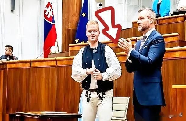 斯洛伐克，
一个你可能在地图上都要找半天
的欧洲国家，突然站出来，指着日方的
鼻