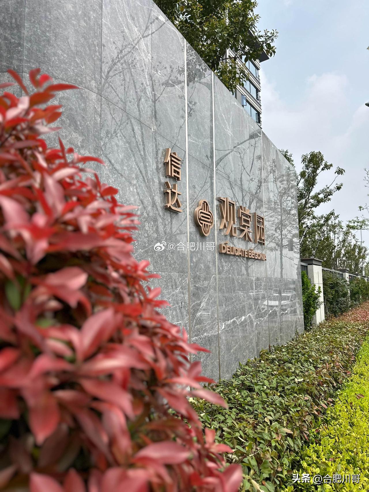 刚刚参观了朋友的信达观棠，小区品质真不错，同期摇号盘中，可以说是上乘了，无所多言