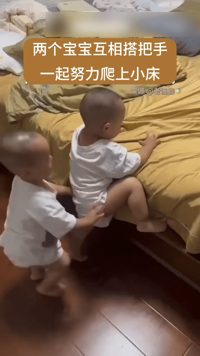 小孩子的互帮互助，真的太治愈人心了。
 
视频里两个小宝宝互相搭把手，你拉我一把