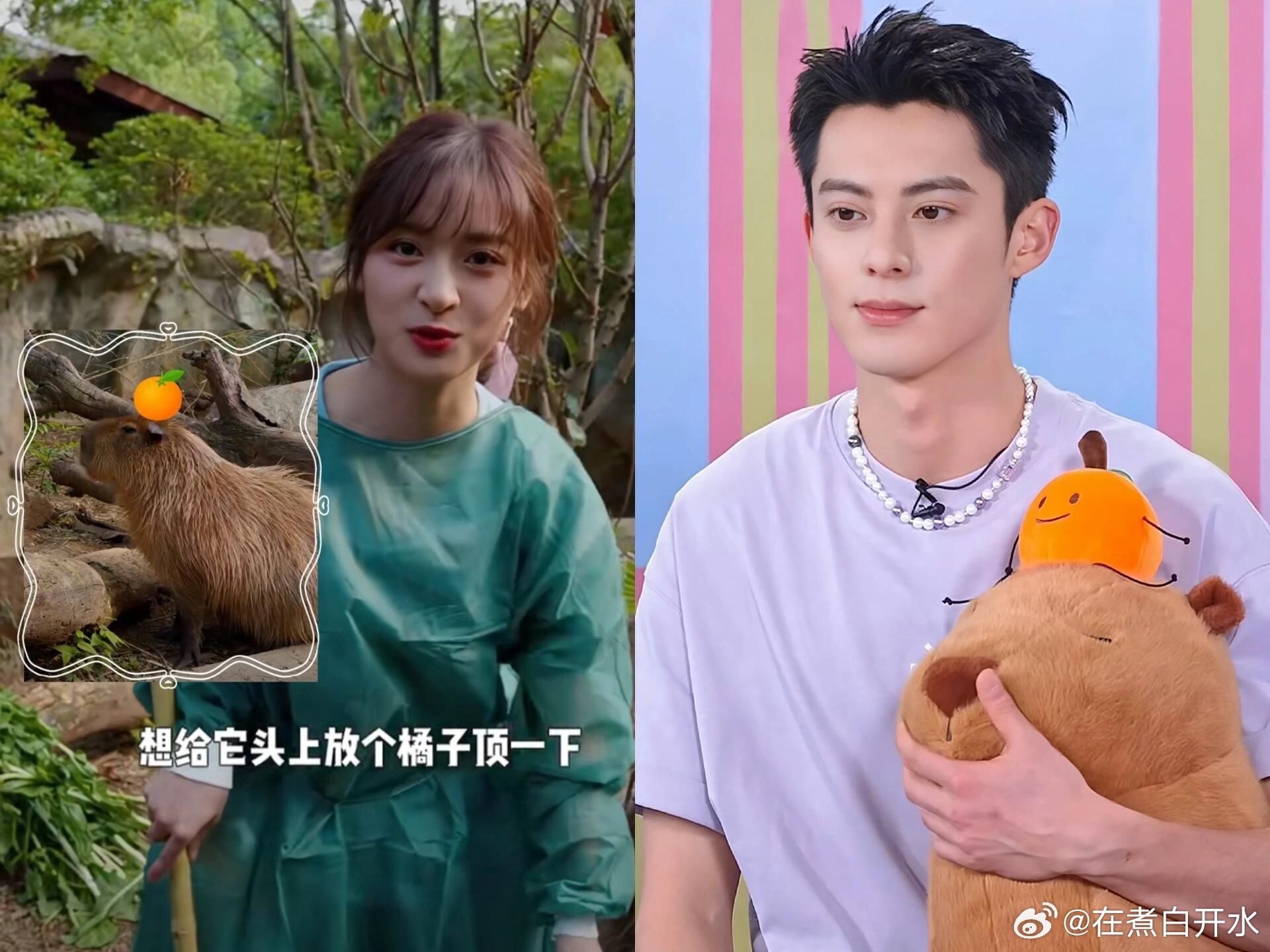 棣月系 棣月系 我有时同你的镜像，你有时似我的模样夫妻相可不是随便说说的～ 