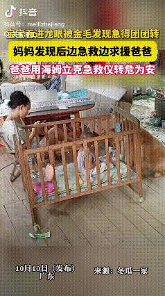 立大功了！广东，一位妈妈把小宝宝放在院子的婴儿护栏床里晒太阳，旁边陪着家里的金毛