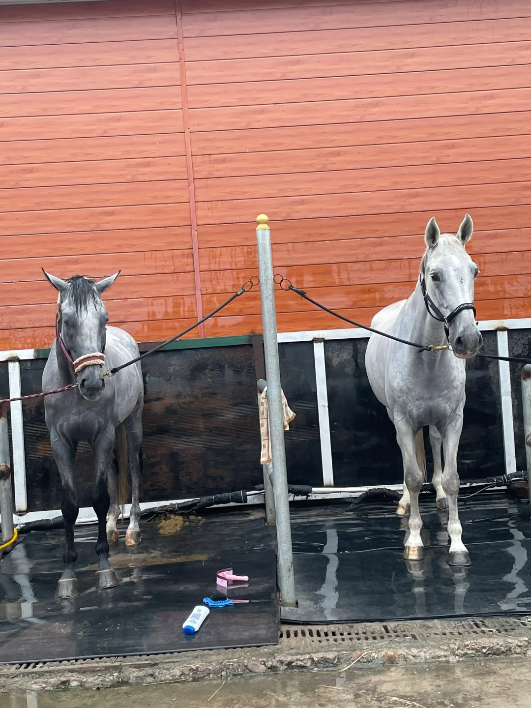 马工复工🤘🏻