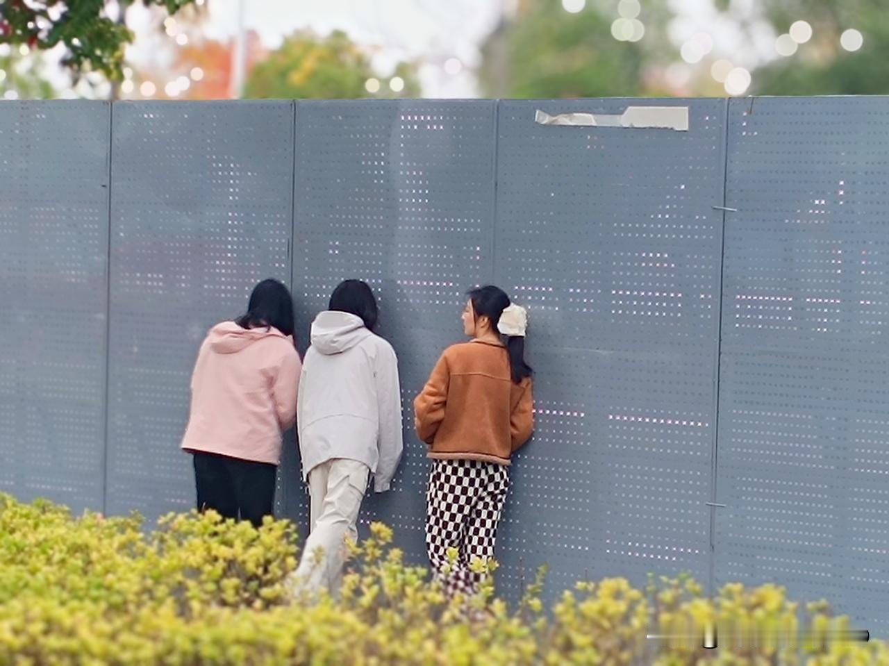 想看喜欢的明星又不想花钱!
看看吧～都是空手套白狼的，比内场看人海的安逸多了!