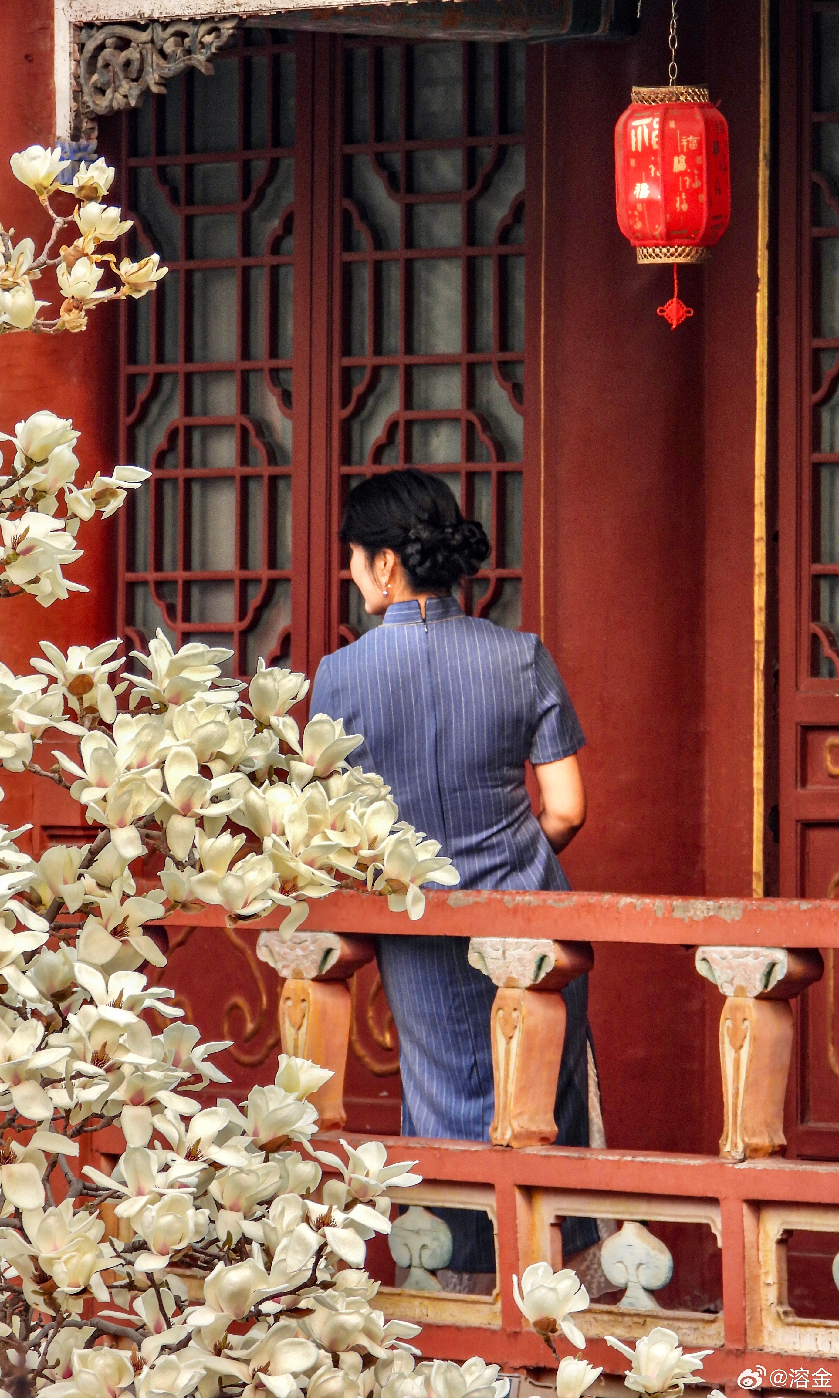 【大观楼前玉兰花 】朱阁涵晴日，雕栏映玉英。玉兰堆雪色，红袖倚云屏。灯影摇红暖，