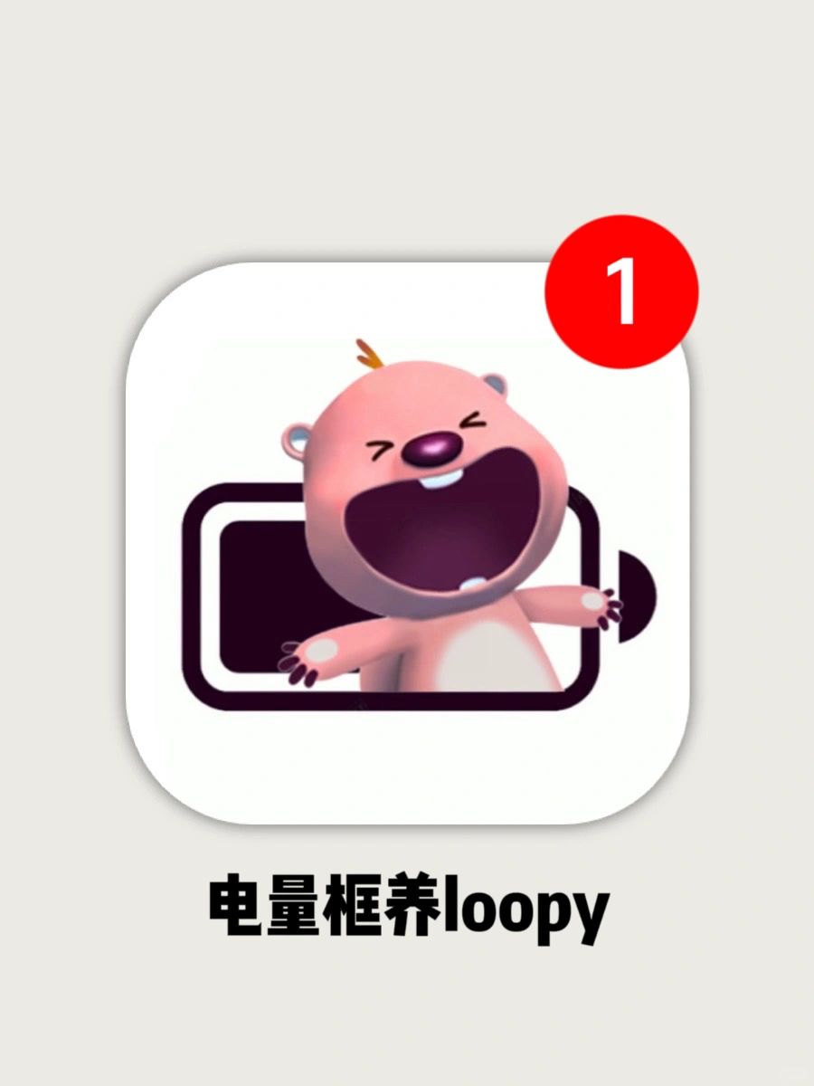 叮咚！！您的电量小管家loopy已送达！！
