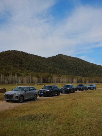 大年三十的科莫湖畔，当这抹红色穿过阿尔卑斯山脚的窄弯，我看到的不仅是自驾，更像一