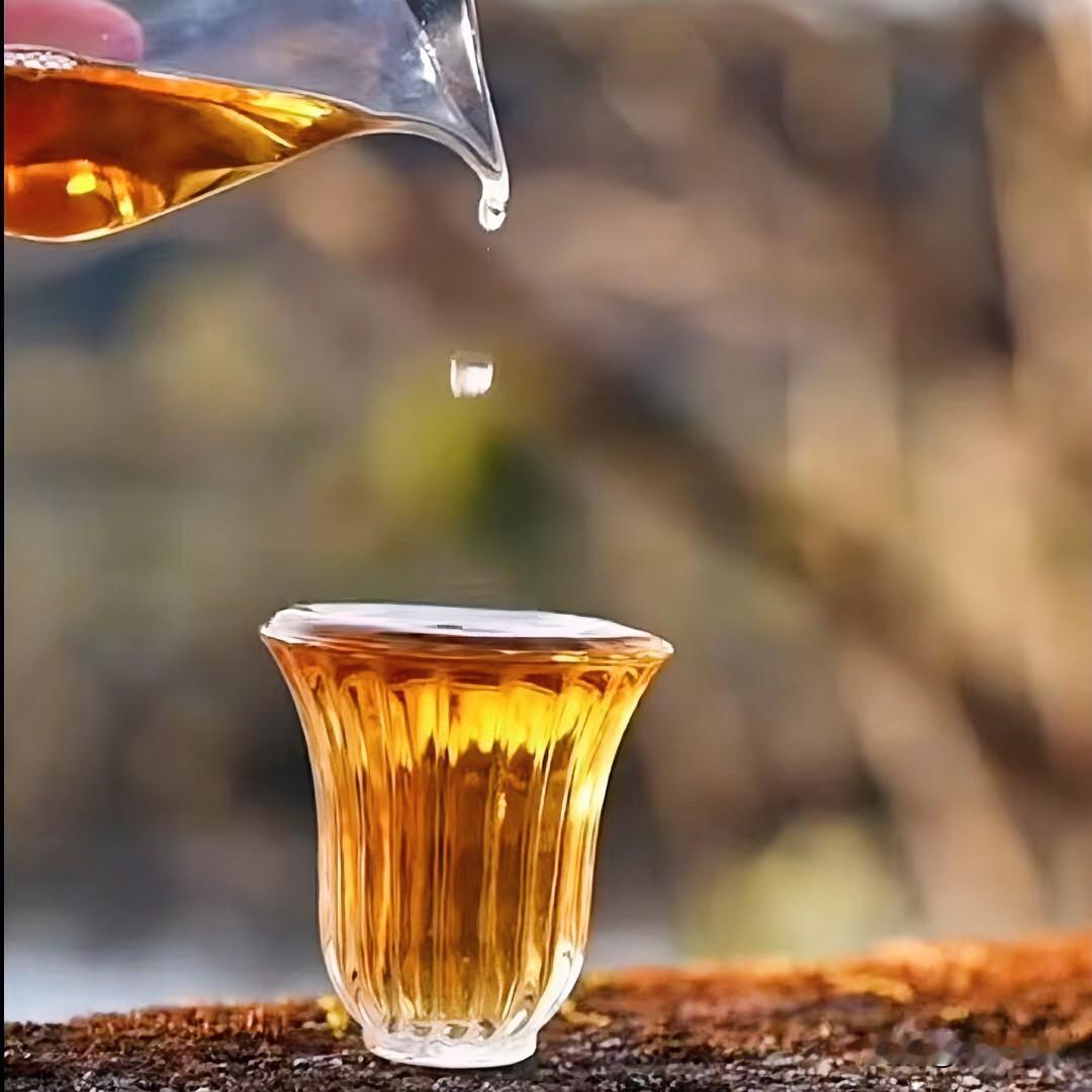 《茶道真如·定风波体》
沸水翻腾试玉芽，浮沉几度意无涯。莫道初时不解味，且待，久