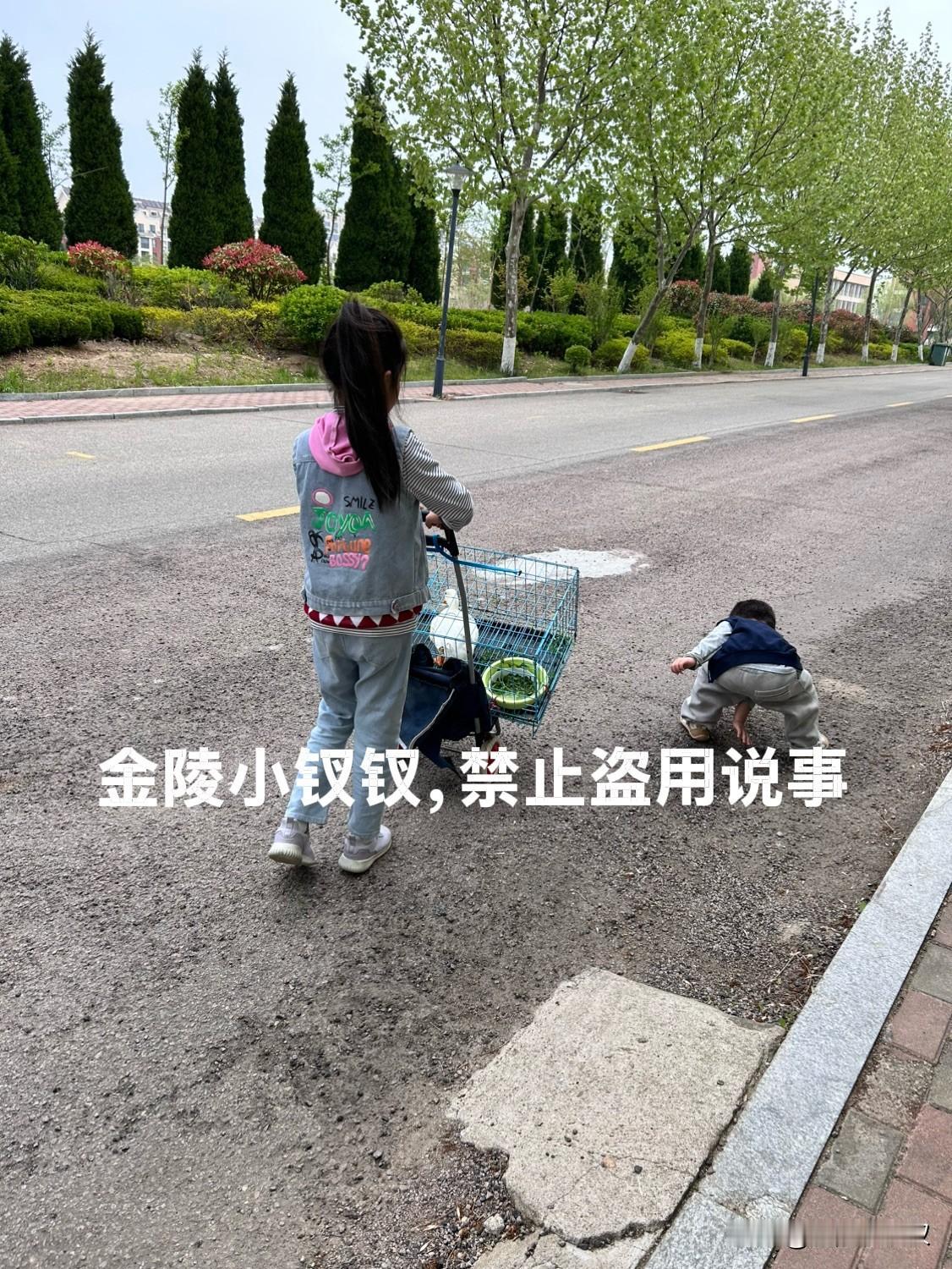 在俺家就没有能扔的东西！

孙女宝儿买了只柯尔鸭，还没热乎我们就来威海了，肯定要