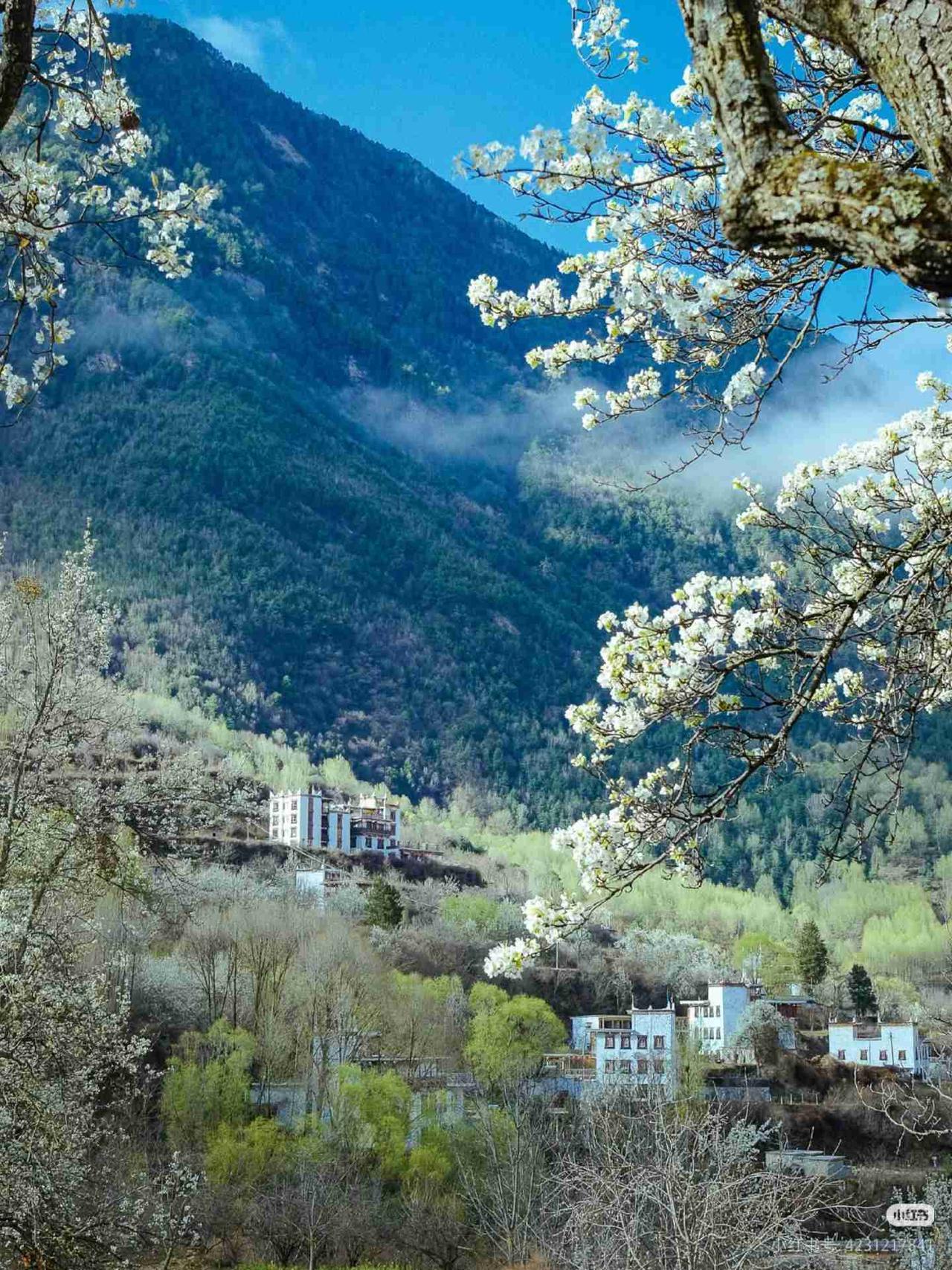 我的今日状态：😁轻松愉快
我这里的天气：🌤️多云