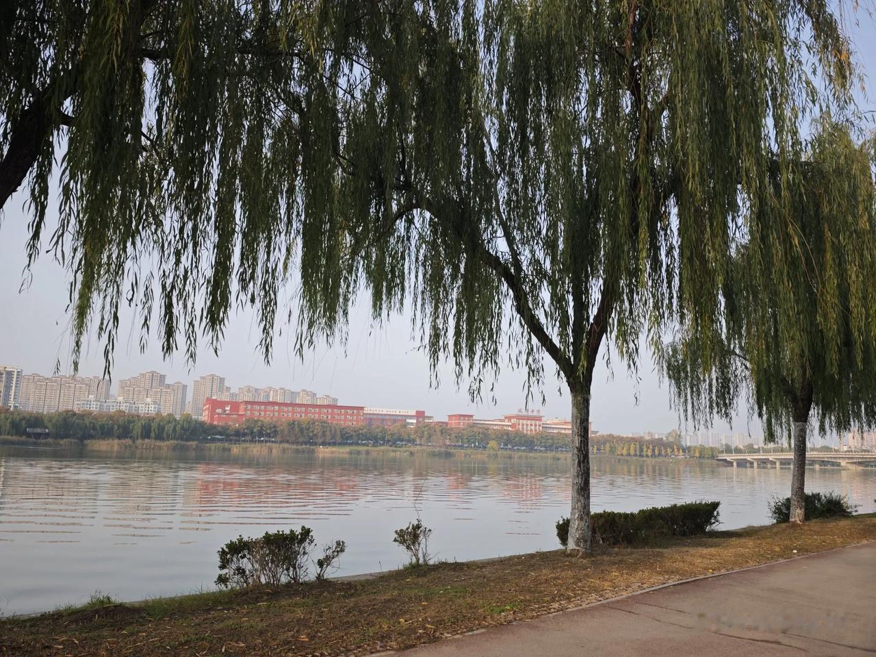 冬日生活打卡季