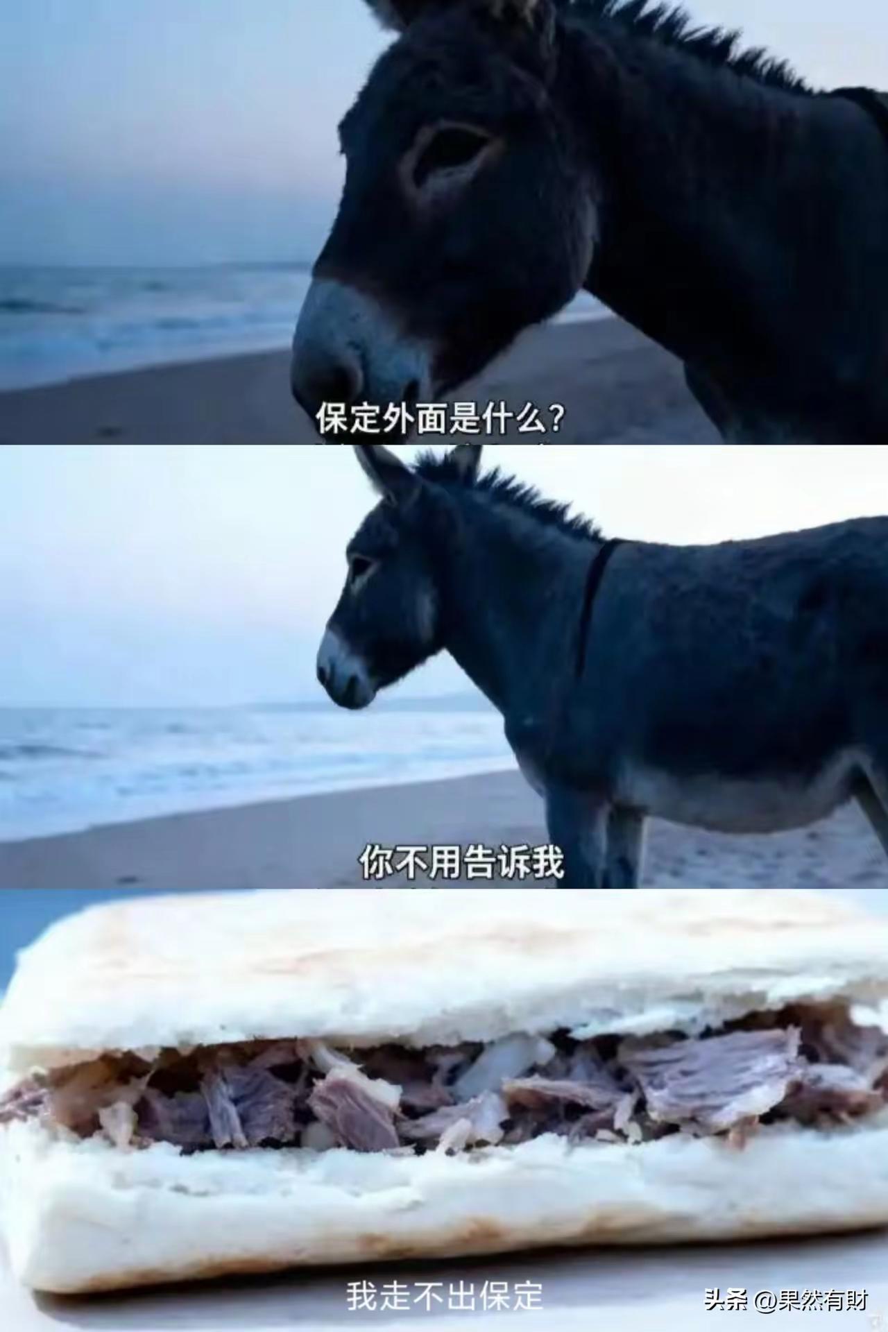 走不出保定，但是皮夹克可以到山东！[我想静静]