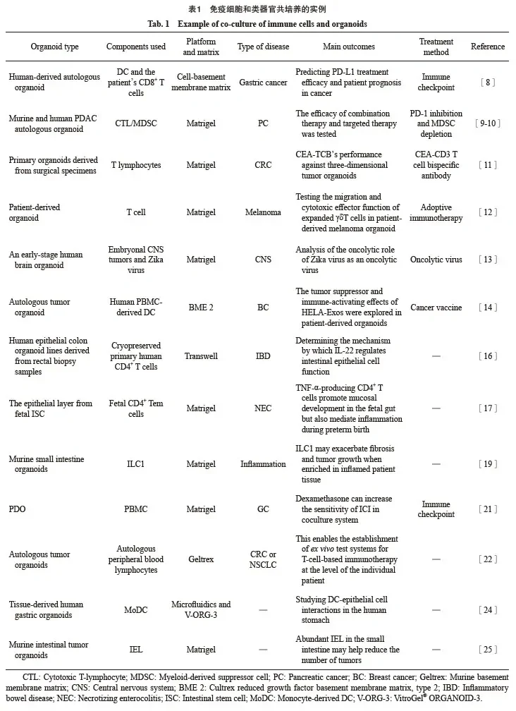 免疫细胞与肿瘤类器官共培养应用文献