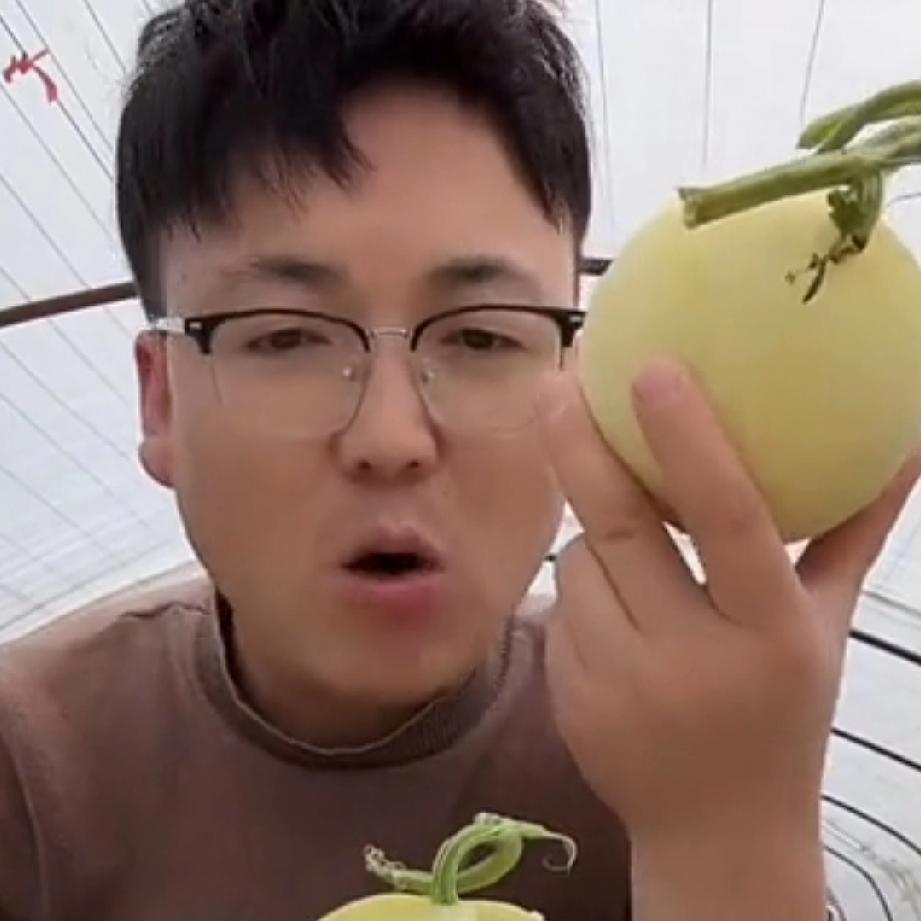 蜜因为跟涛子闹意见一气之下跑回老挝娘家，在家住了一个多月时间，涛子一直在视频中检