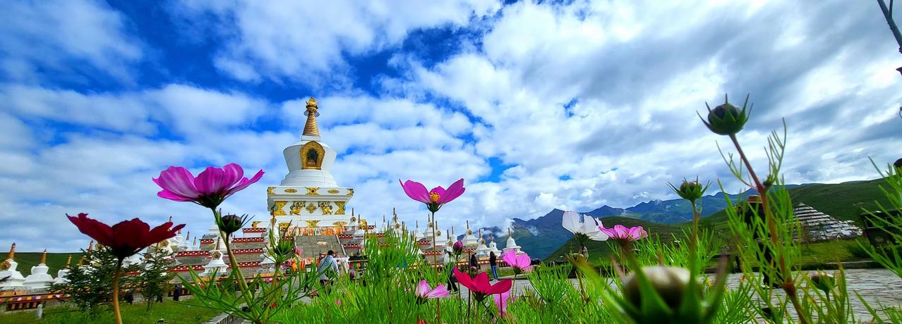 你的一生会和多少人相遇

人的一生，大约会和八万人相遇（路人、店员、乘客、同学同