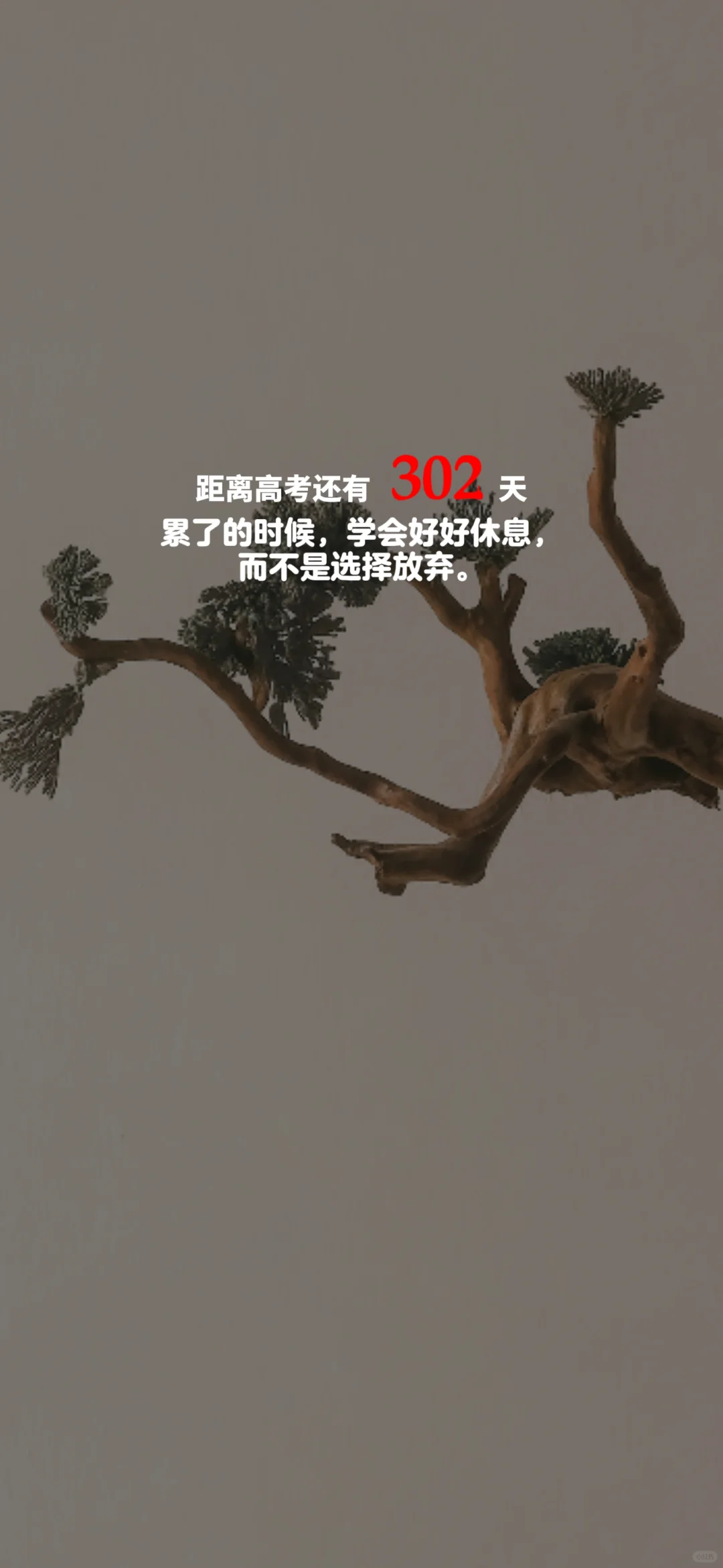 2025高考倒计时，每日更新。