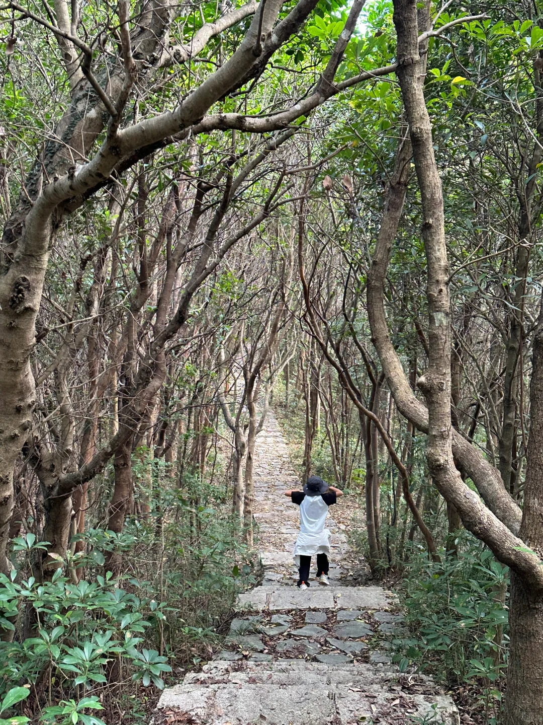 哇哦‼️超适合亲子的小众山野🤩景观太赞啦😜