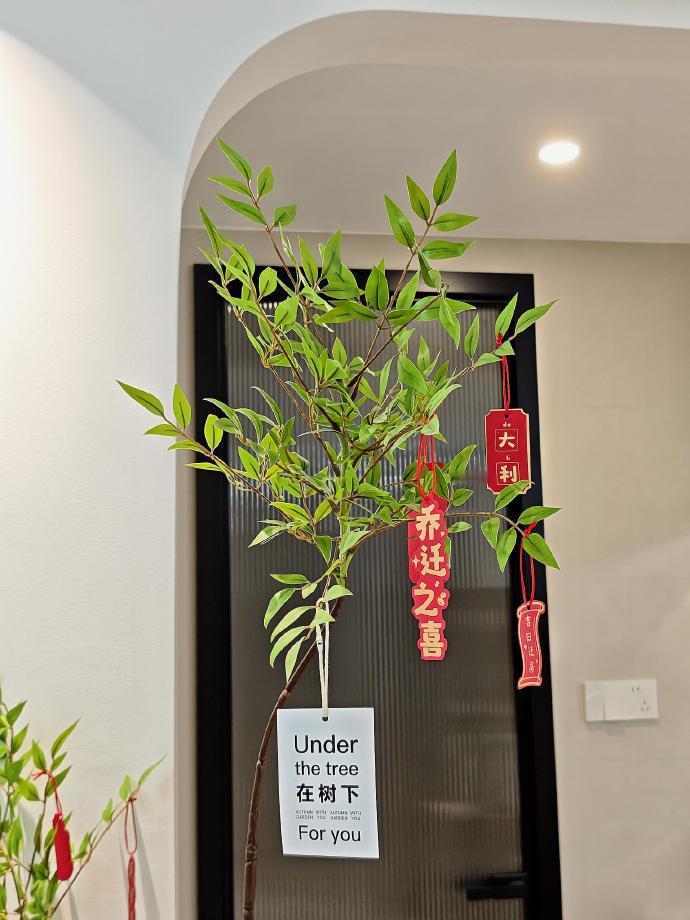 好可爱的小摆件！👀 