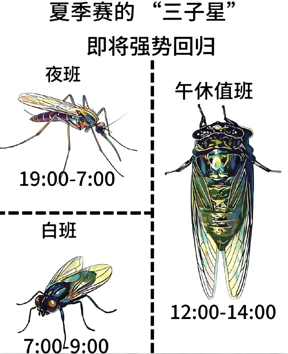 夏日三“神兽”即将回归，大家迎接好它们的怀抱了吗？盛夏最后的凉爽