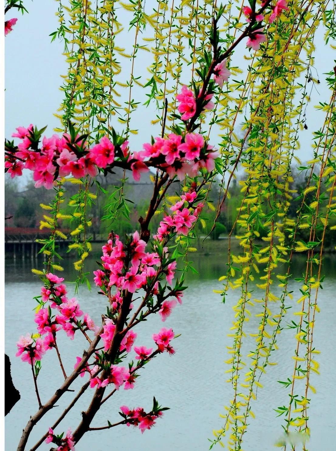 下联：新年新景万家欢

赏析：此联以“新年”对“春风”，“新景”对“春色”，工整