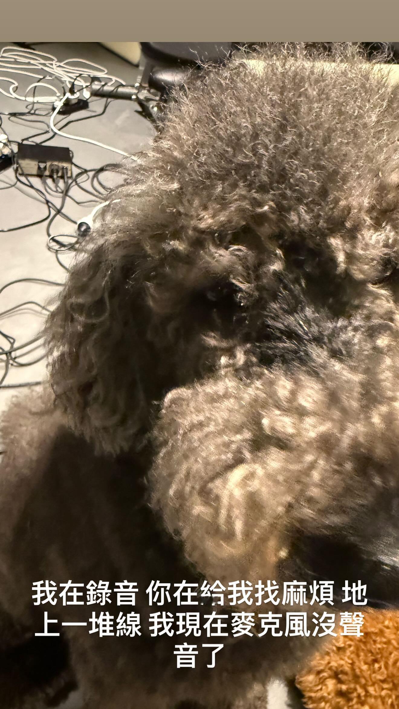 杰伦：我在录音 你在给我找麻烦 地上一堆线 我现在麦克风没声音了 我真的要好好找