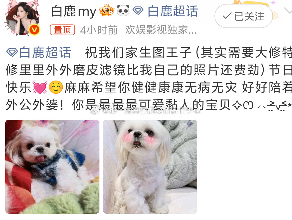 白鹿给黏黏写的应援文案一沫真挚的情话白鹿给黏黏写的应援文案！一沫真挚的情话