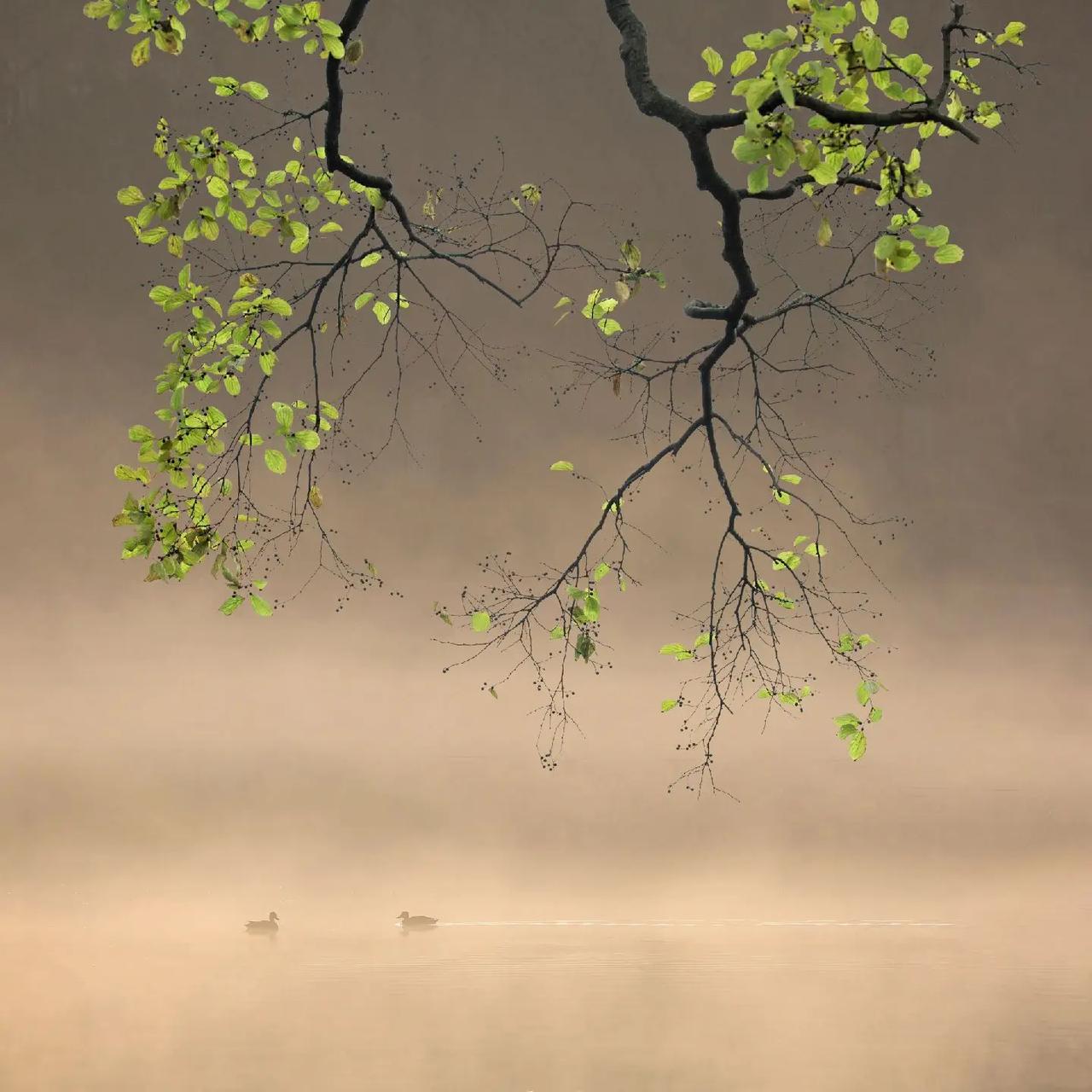 前面带着一个附中的孩子，成绩应该有进步，所以家长暑假又过来找我了，其实我们有很多