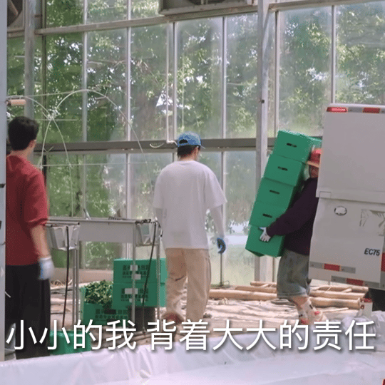 王一珩勇破弟尼斯纪录种地吧4种地日记 两眼一睁，开始竞争！搬箱子暗暗“内卷”，胜
