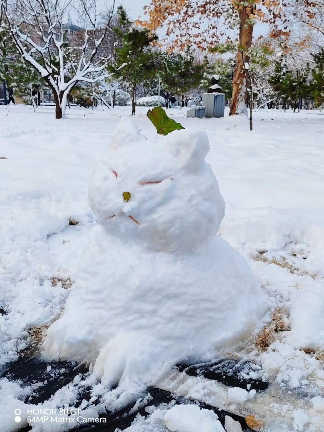 雪中喵喵行