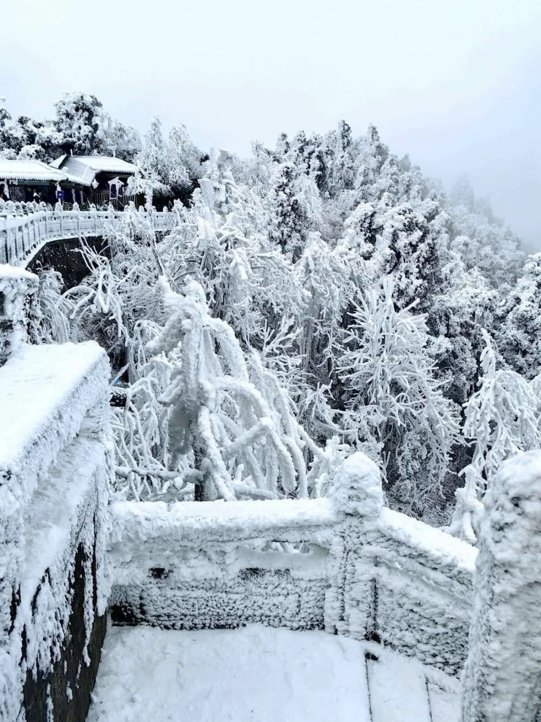 南方人看雪！就选这个最省时省钱的赏雪地！