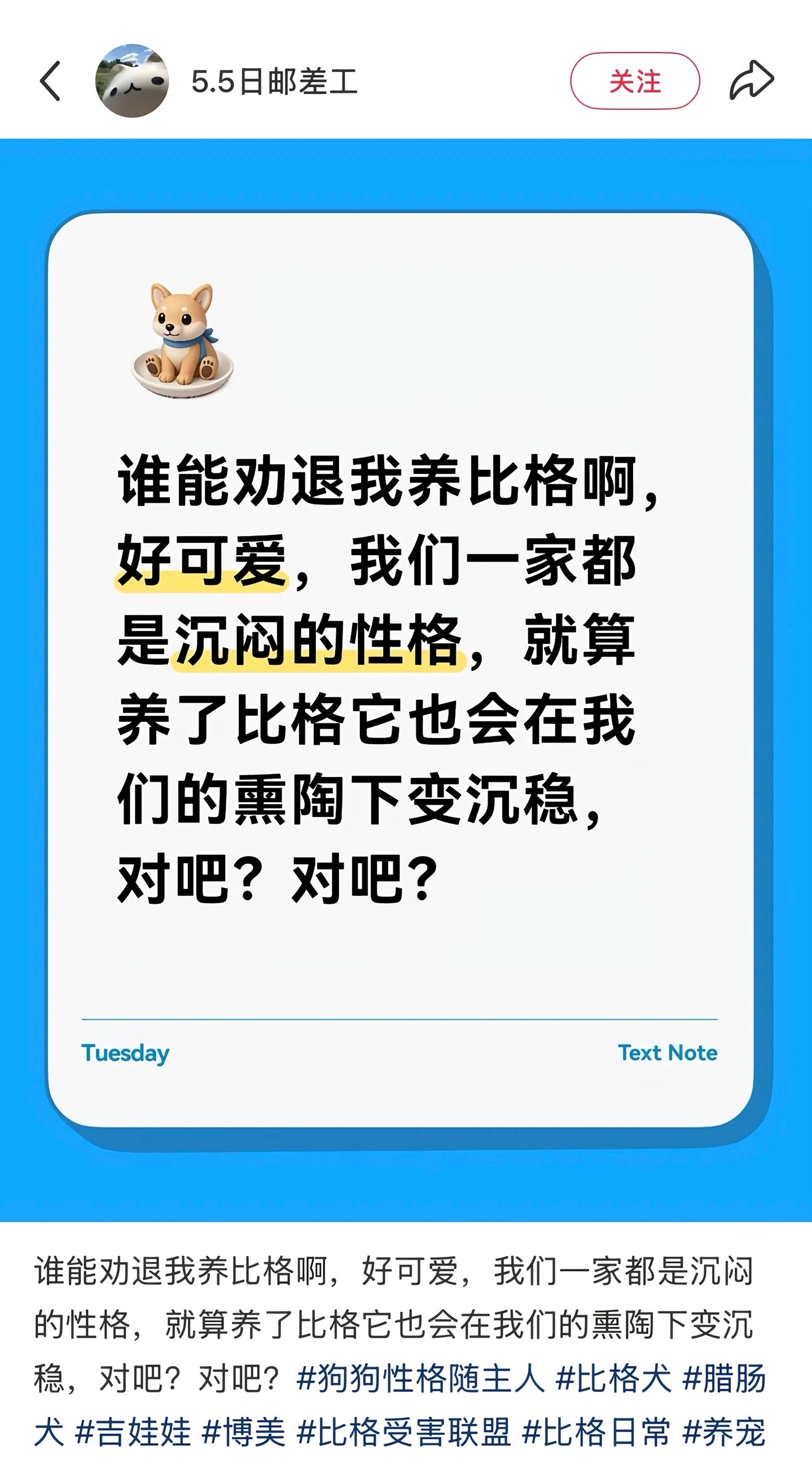 养了比格后成了文豪