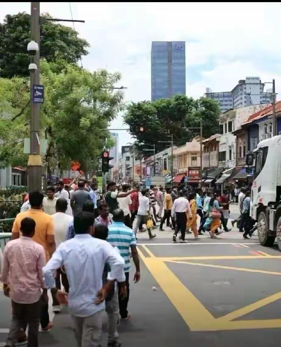 查了下，目前新加坡总统是印度裔，外交部长印度裔，国安部长兼内政大臣印度裔，如果是