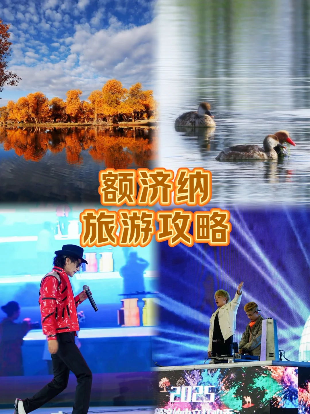 额济纳电音+城市逛吃｜白天躺平！晚上嗨到爆！