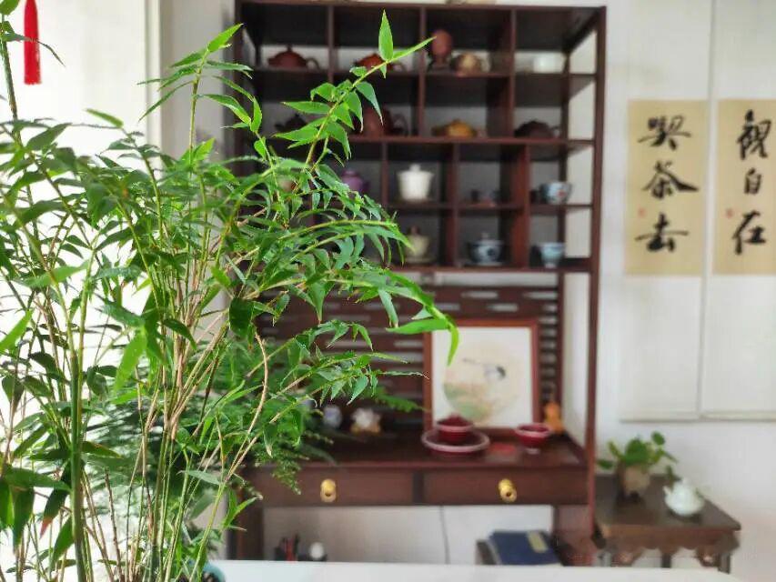 金菊对芙蓉 · 流年不负英雄

残月清空，疏星斗横，夜声惊破春梦。正桃源惬旅，倩
