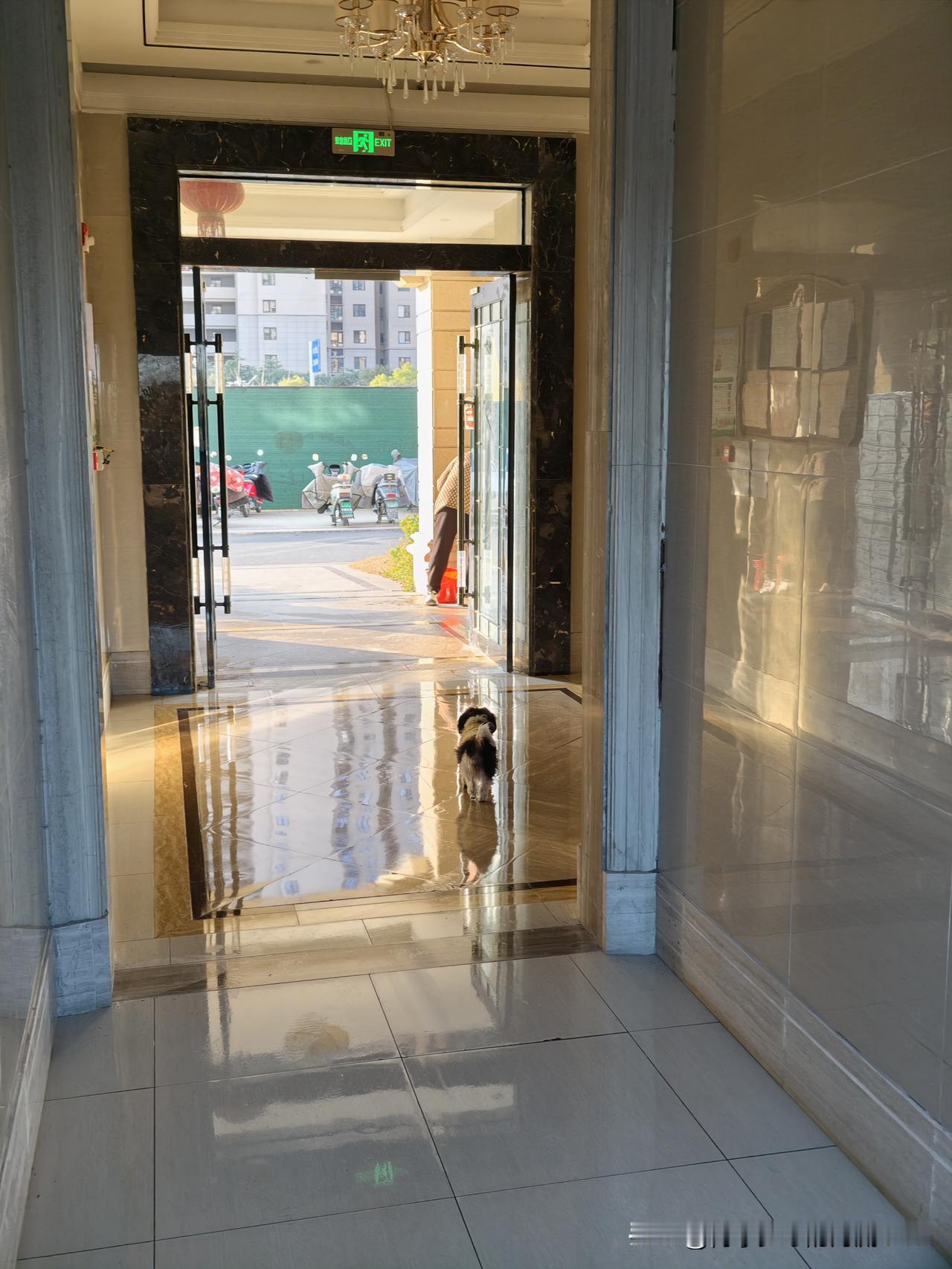 今天是金碧物业走后的第69天。

自从接受网友的建议，按照房号公布参加卫生值日的