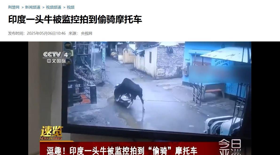 “印度” “牛” “偷骑摩托车”，这几个关键词到底是怎么组装到一起的？

如果这