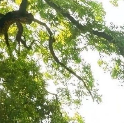 每日一善 每日一善 阳光信用 路在脚下，用心去走。只要你肯迈步。路就会在你脚下延