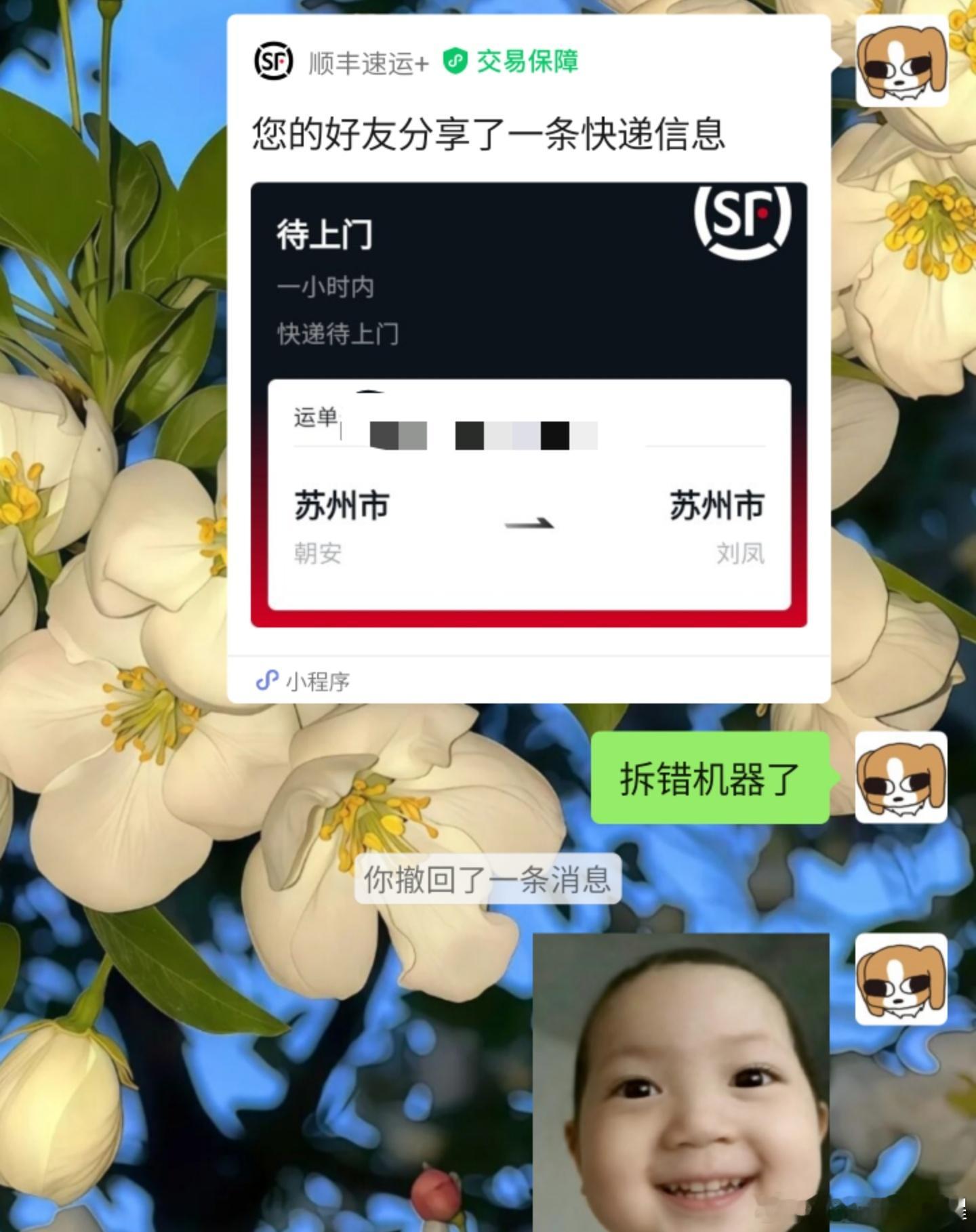 我犯错就这样伸手不打笑脸人 