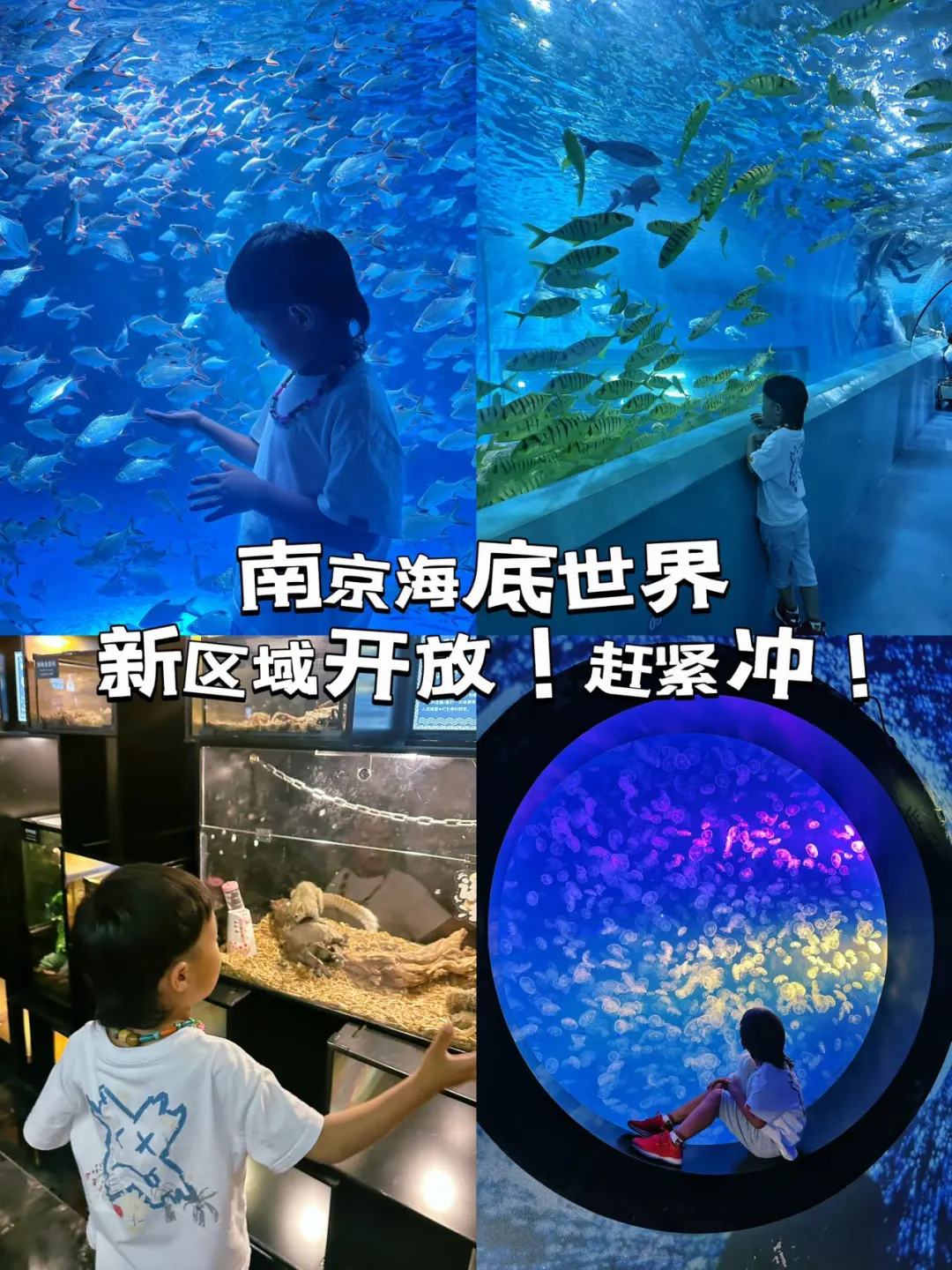 南京海底世界新区域开放❗️异宠空间太绝啦