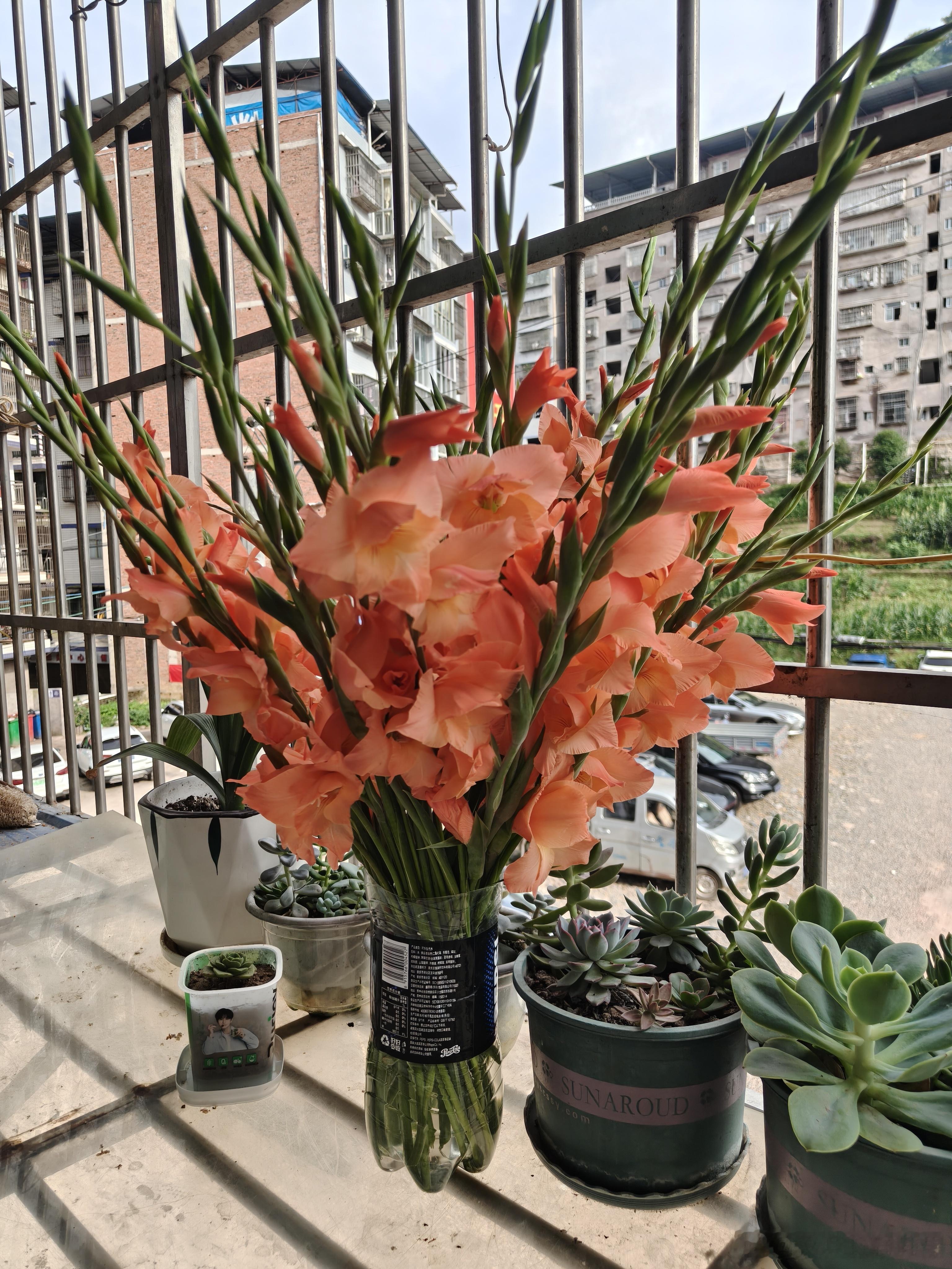 “总有一天你会明白，自己爱自己，强过很多人爱你，不要从别人身上找安全感，能给你安